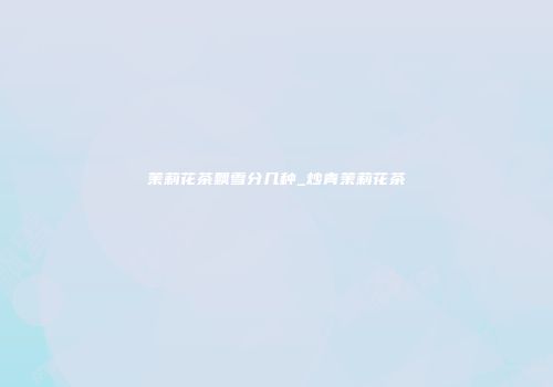 茉莉花茶飘雪分几种_炒青茉莉花茶