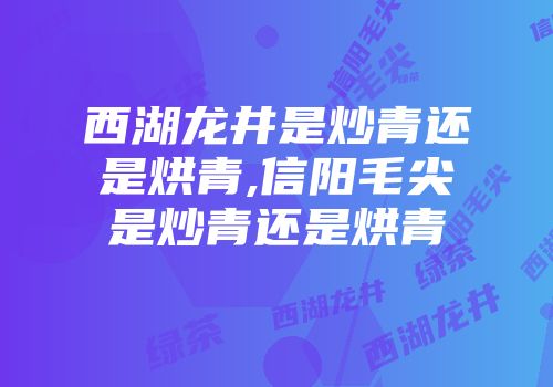 西湖龙井是炒青还是烘青,信阳毛尖是炒青还是烘青