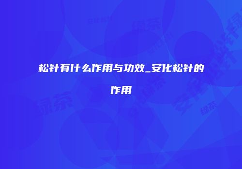 松针有什么作用与功效_安化松针的作用