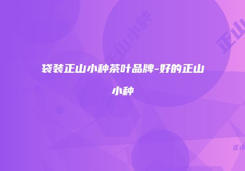 袋装正山小种茶叶品牌-好的正山小种