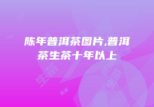 陈年普洱茶图片,普洱茶生茶十年以上