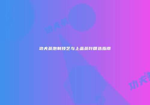 功夫茶泡制技艺与上品茶叶精选指南