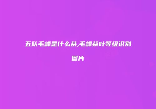 五队毛峰是什么茶,毛峰茶叶等级识别图片