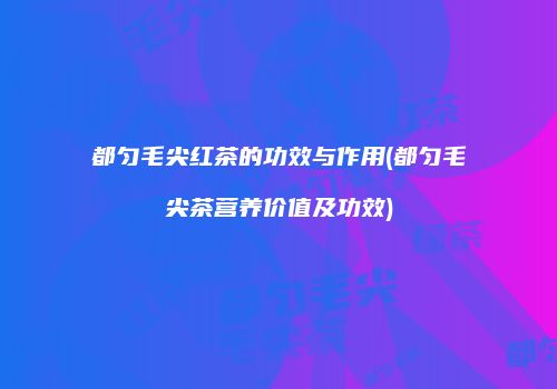 都匀毛尖红茶的功效与作用(都匀毛尖茶营养价值及功效)