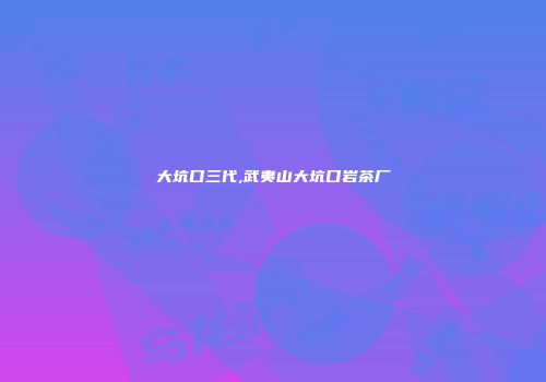 大坑口三代,武夷山大坑口岩茶厂