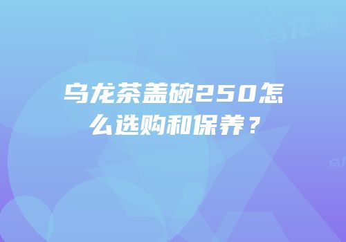 乌龙茶盖碗250怎么选购和保养？