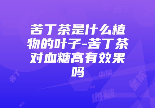 苦丁茶是什么植物的叶子-苦丁茶对血糖高有效果吗