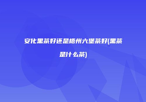 安化黑茶好还是梧州六堡茶好(黑茶是什么茶)