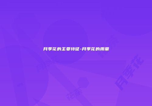 月季花的主要特征-月季花的用量