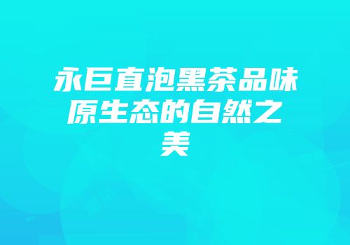 永巨直泡黑茶品味原生态的自然之美