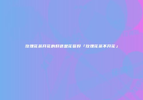 玫瑰花茶开花的好还是花苞好「玫瑰花茶不开花」