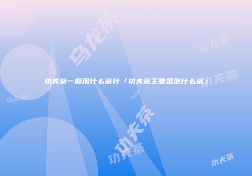 功夫茶一般用什么茶叶「功夫茶主要是泡什么茶」