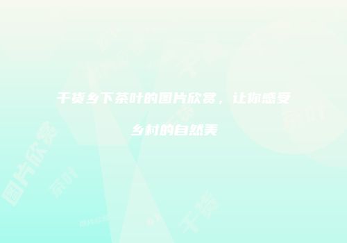 干货乡下茶叶的图片欣赏，让你感受乡村的自然美