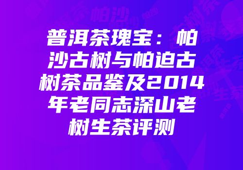 普洱茶瑰宝：帕沙古树与帕迫古树茶品鉴及2014年老同志深山老树生茶评测