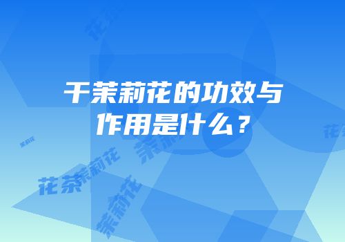 干茉莉花的功效与作用是什么？