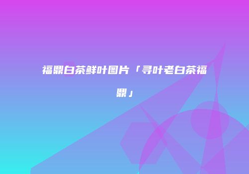 福鼎白茶鲜叶图片「寻叶老白茶福鼎」