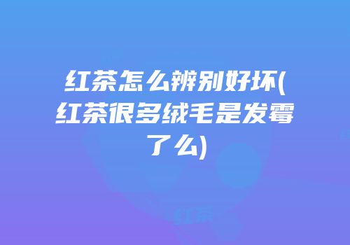 红茶怎么辨别好坏(红茶很多绒毛是发霉了么)