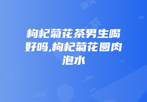 枸杞菊花茶男生喝好吗,枸杞菊花圆肉泡水
