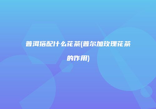 普洱搭配什么花茶(普尔加玫瑰花茶的作用)