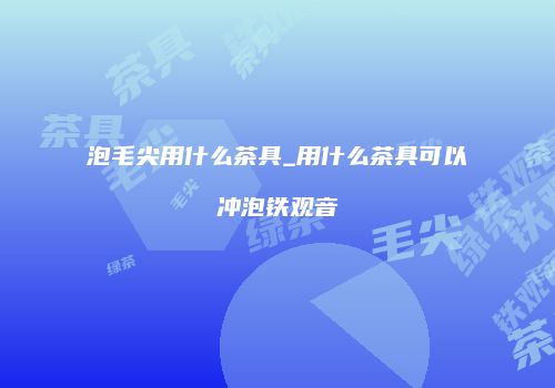 泡毛尖用什么茶具_用什么茶具可以冲泡铁观音
