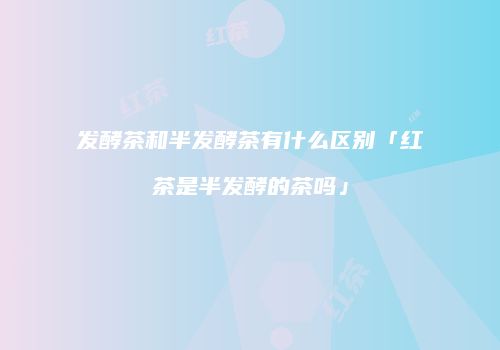 发酵茶和半发酵茶有什么区别「红茶是半发酵的茶吗」