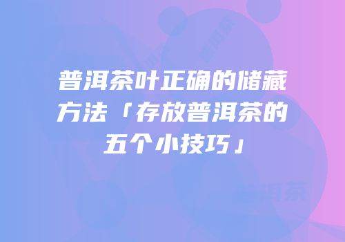 普洱茶叶正确的储藏方法「存放普洱茶的五个小技巧」