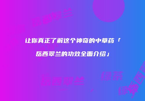 让你真正了解这个神奇的中草药「岳西翠兰的功效全面介绍」