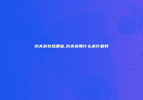 功夫茶包括哪些,功夫茶用什么茶叶最好