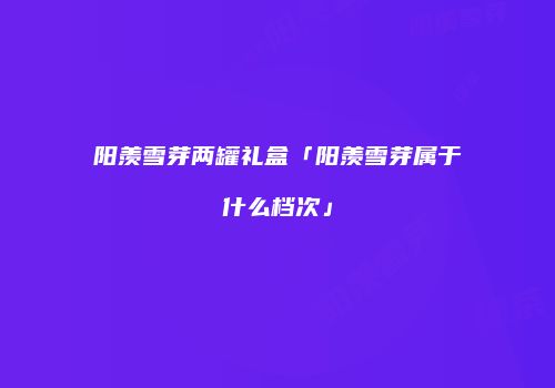 阳羡雪芽两罐礼盒「阳羡雪芽属于什么档次」