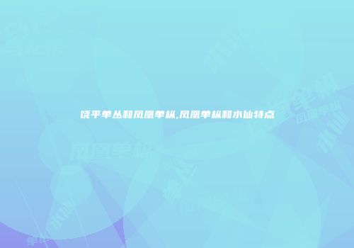 饶平单丛和凤凰单枞,凤凰单枞和水仙特点