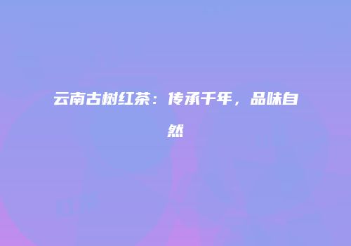 云南古树红茶：传承千年，品味自然