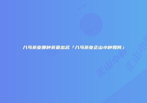 八马茶业哪种茶最出名「八马茶业正山小种如何」