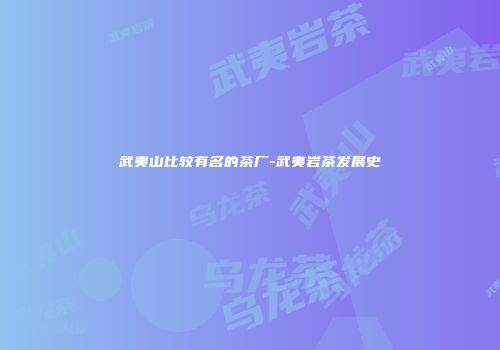 武夷山比较有名的茶厂-武夷岩茶发展史