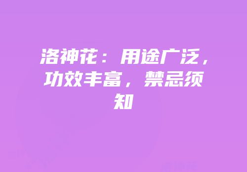 洛神花：用途广泛，功效丰富，禁忌须知