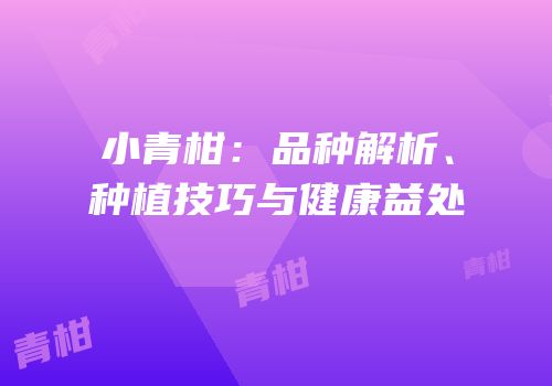 小青柑：品种解析、种植技巧与健康益处