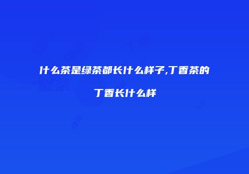 什么茶是绿茶都长什么样子,丁香茶的丁香长什么样