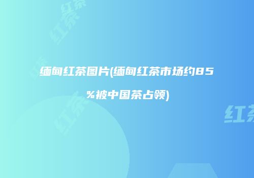 缅甸红茶图片(缅甸红茶市场约85%被中国茶占领)