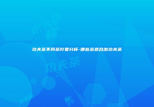 功夫茶不同茶叶要分杯-哪些茶适合泡功夫茶