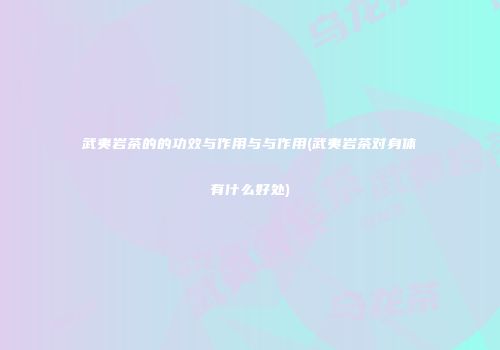 武夷岩茶的的功效与作用与与作用(武夷岩茶对身体有什么好处)