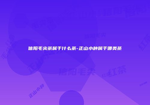 信阳毛尖茶属于什么茶-正山小种属于哪类茶