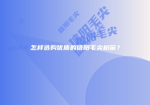 怎样选购优质的信阳毛尖树苗？