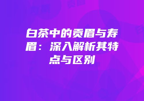 白茶中的贡眉与寿眉：深入解析其特点与区别