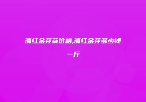 滇红金芽茶价格,滇红金芽多少钱一斤
