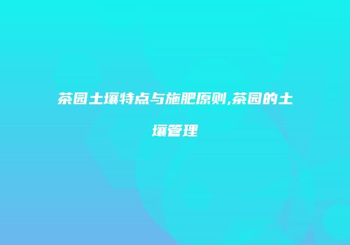 茶园土壤特点与施肥原则,茶园的土壤管理
