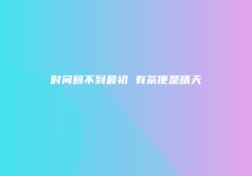 时间回不到最初 有茶便是晴天