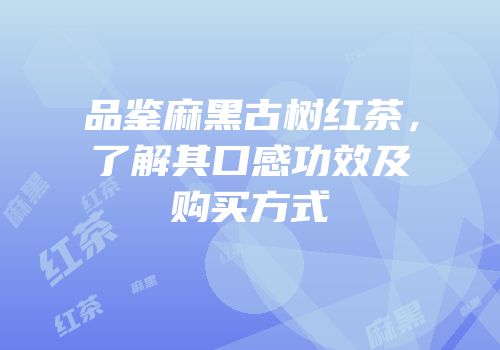 品鉴麻黑古树红茶，了解其口感功效及购买方式