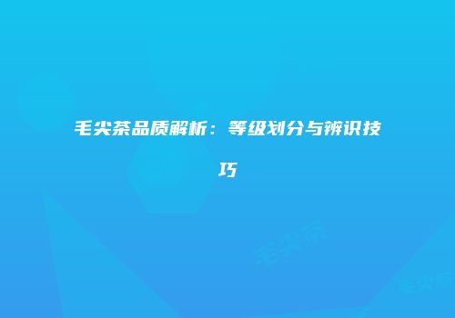 毛尖茶品质解析：等级划分与辨识技巧