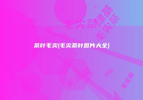 茶叶毛尖(毛尖茶叶图片大全)