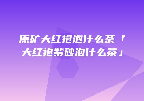 原矿大红袍泡什么茶「大红袍紫砂泡什么茶」