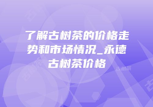 了解古树茶的价格走势和市场情况_永德古树茶价格